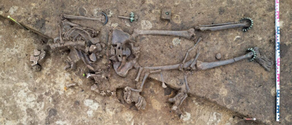 Celtic grave with unique animal offering found in Bavaria – The History Blog