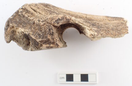 Rare Bronze Age deer antler axes found in Sweden – The History Blog